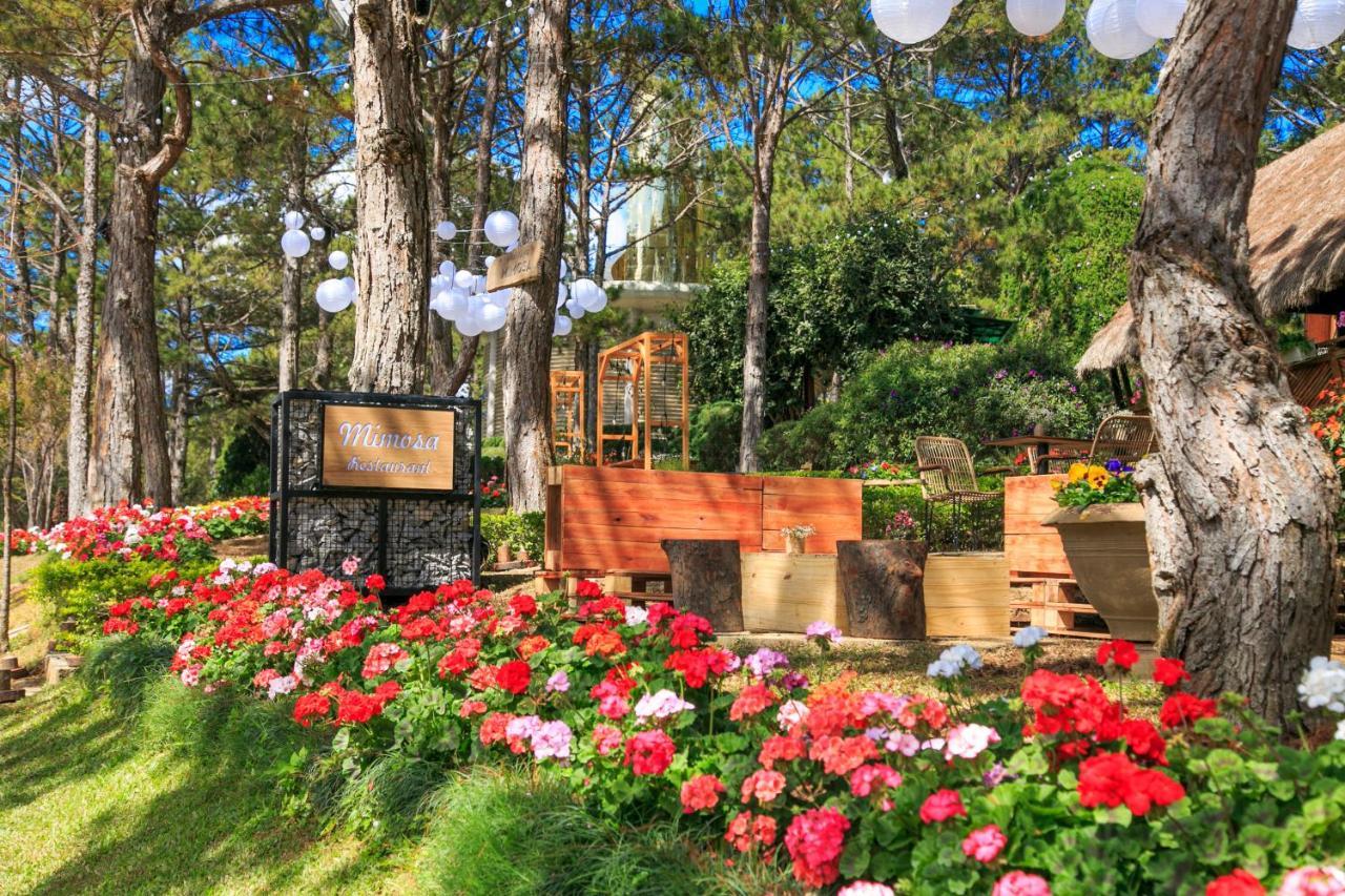 דה לאט Ttc Dreamy Hill Resort - Unlimited Access To Ttc World - Thung Lung Tinh Yeu מראה חיצוני תמונה