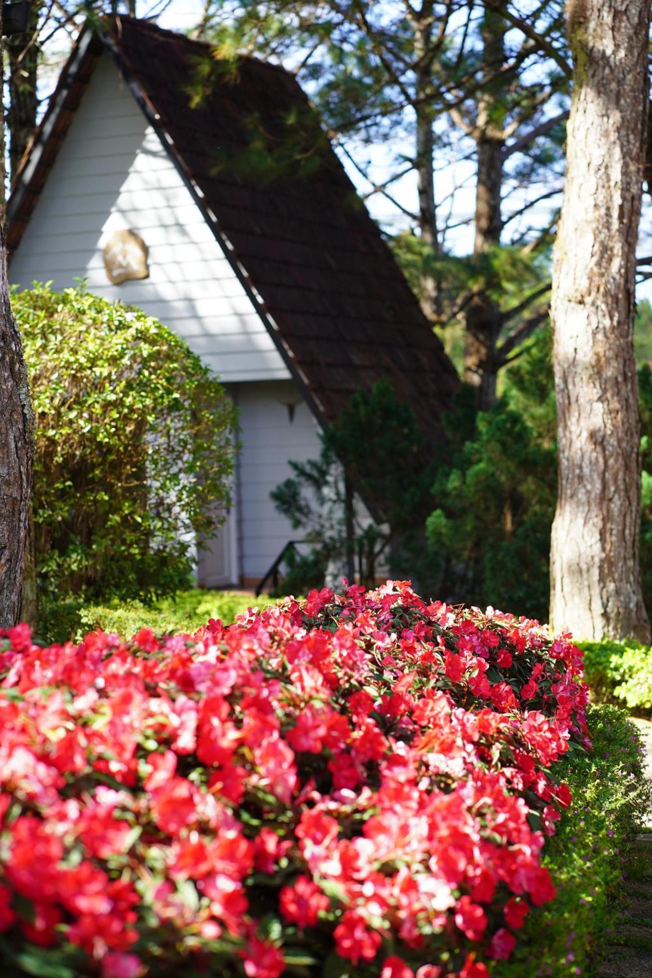דה לאט Ttc Dreamy Hill Resort - Unlimited Access To Ttc World - Thung Lung Tinh Yeu מראה חיצוני תמונה